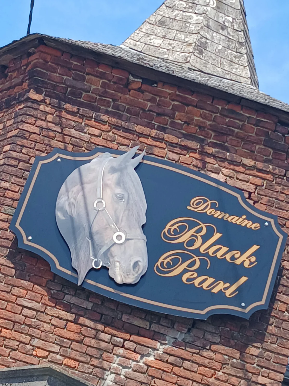 Enseigne extérieure Domaine Black Pearl